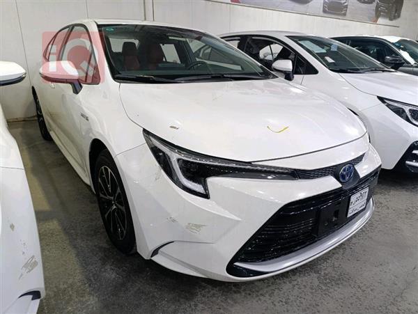 Toyota for sale in Iraq